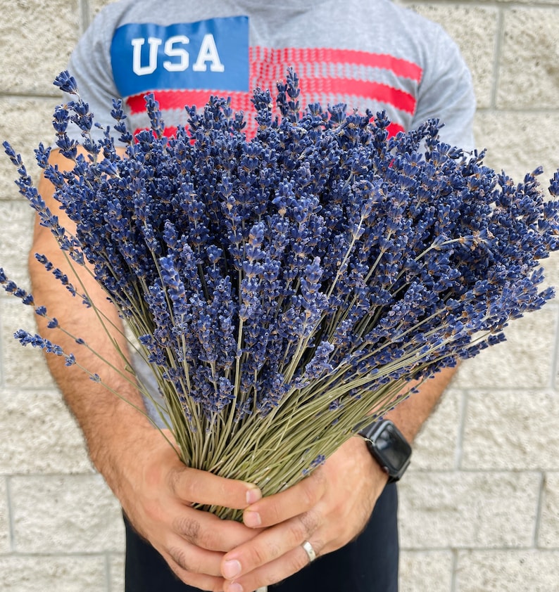 Puede incluir: Un gran ramo de flores de lavanda secas en tonos de morado y azul. El ramo lo sostiene una persona que lleva una camisa gris con la palabra "USA" impresa.
