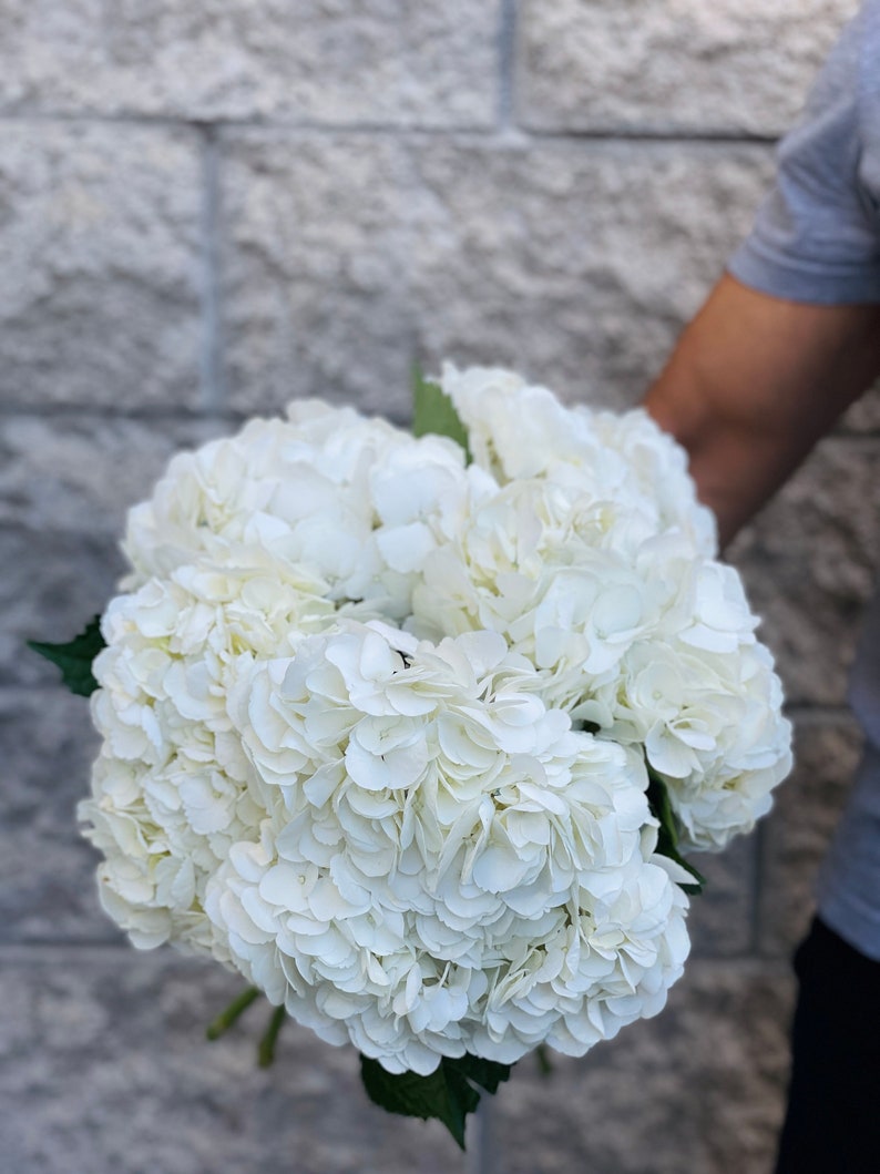 May include: A large bouquet of white hydrangea flowers. The flowers are tightly clustered, with many layers of delicate petals. The bouquet is held against a gray brick wall background. The flowers are a bright, clean white.