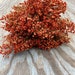 see more listings in the Dried Bulk Flowers section