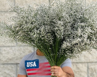 Limonium Caspia blanco brumoso: Relleno floral seco para bodas