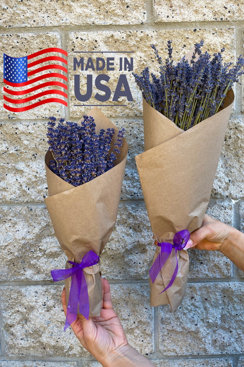 dried lavender