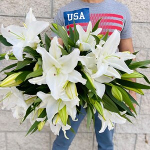 20 XL Fresh White Oriental Lily's -  Fragrant White Stargazers -  Bulk Wedding Flowers - Wholesale Flowers