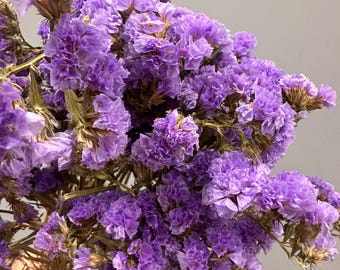 Paquete de estátice de lavanda preservada: lavanda marina seca, cultivada en California