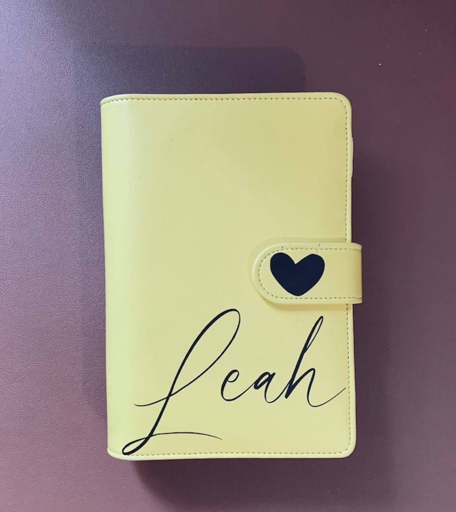 Agenda Del Risparmio A6 In Pelle PU - Raccoglitore Con Buste Budget E Etichette