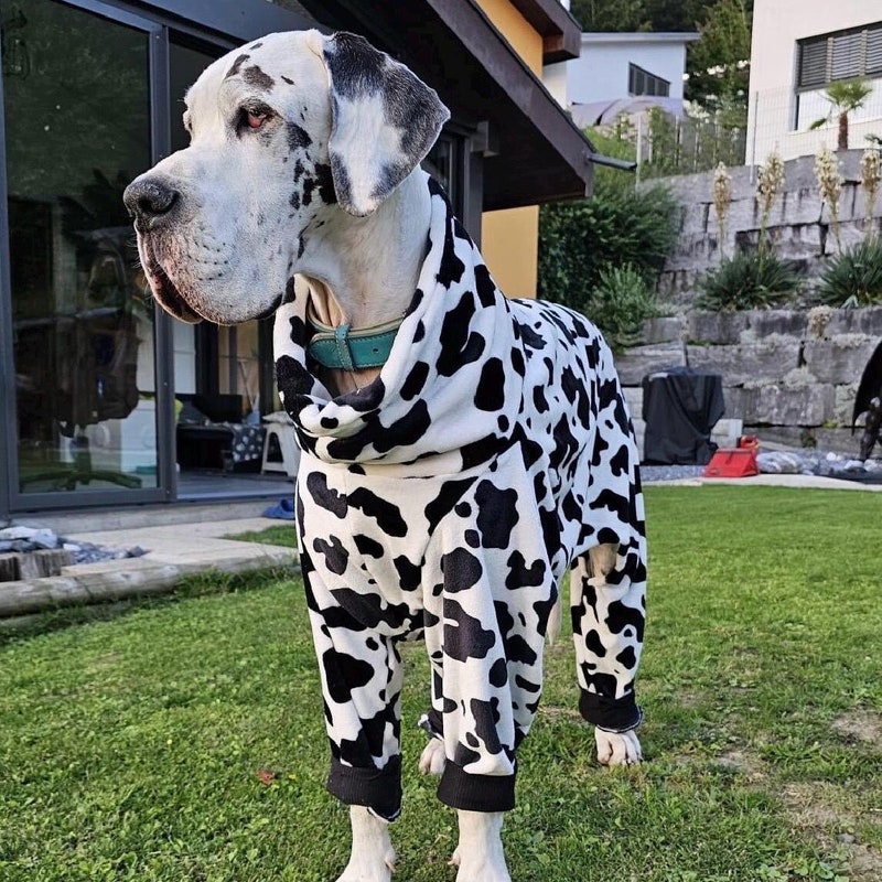 Large Pajamas for Dogs Etsy