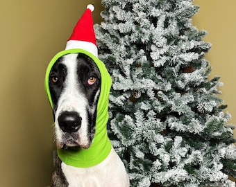 Puede incluir: Un Gran Danés blanco y negro con un gorro de Papá Noel verde y rojo. El perro está sentado en una alfombra gris y esponjosa frente a un árbol de Navidad cubierto de nieve.