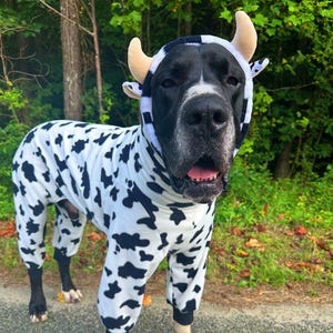 May include: A black and white cow-patterned dog onesie featuring a hood with attached plush tan horns and small ears. The garment covers the torso and legs of the dog, with black ribbed cuffs at the ankles and a soft, fleece-like texture throughout.