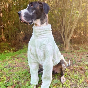 Mastiff dog coats cheap