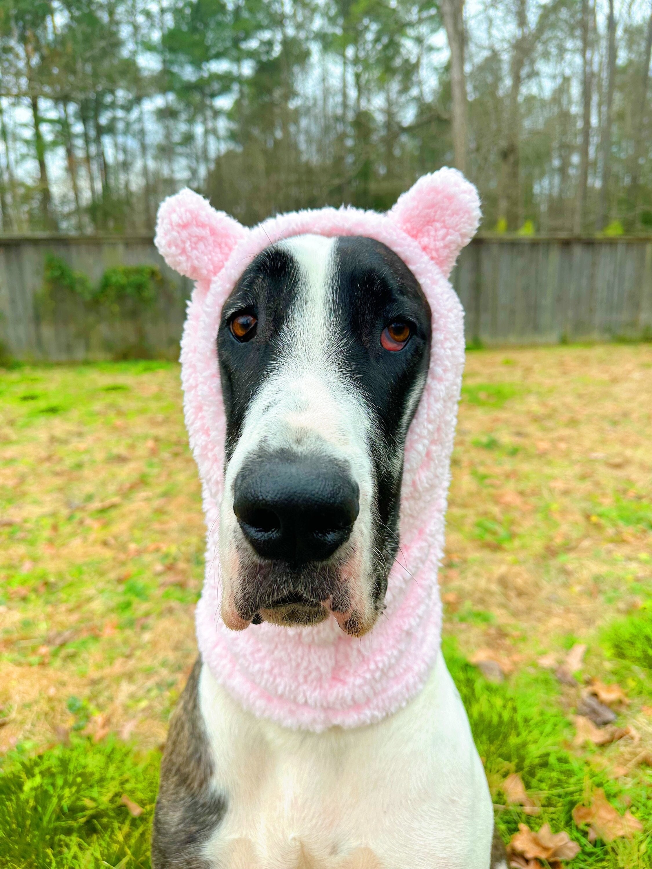 Dog Ears Beanie - Etsy Dog Ears Beanie - Etsy