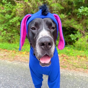 May include: A black and white dog wearing a bright blue fleece jumpsuit with a matching hood. The hood features long, floppy ears with vibrant pink inner linings and a small black tuft of faux fur on top. The dog has its mouth open, showing its tongue.