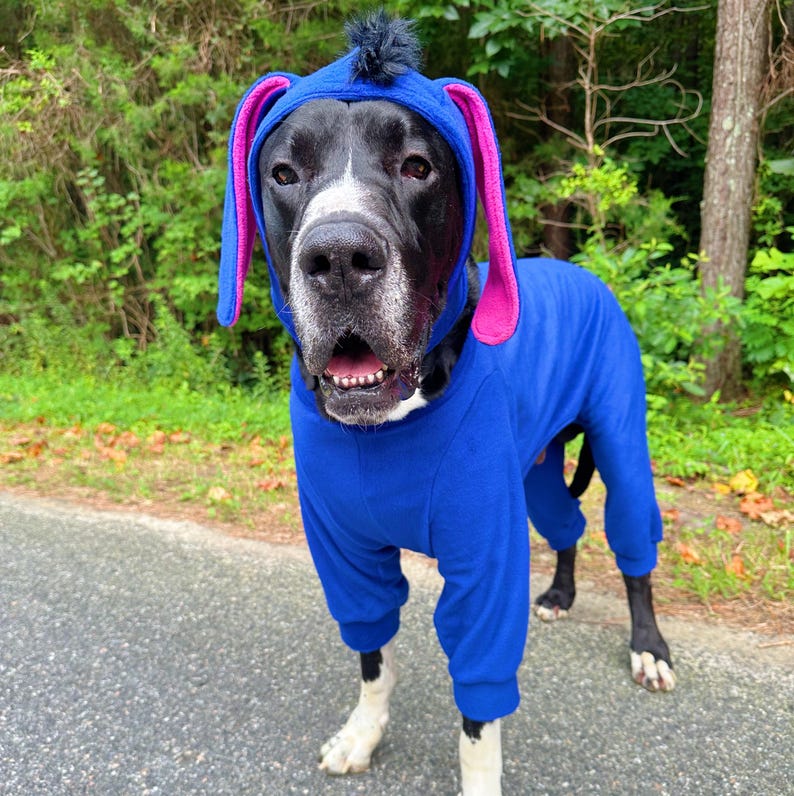 May include: A blue dog onesie featuring a hood with long, pink-lined ears and a small black tuft of hair on top. The garment covers the torso and legs, with ribbed cuffs at the ends of the sleeves and pant legs, designed for a canine to wear.