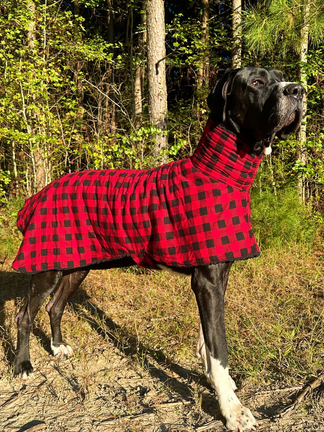 Buy Great Dane Coats for Dogs, Extra Large Dog Pjs, Bull Mastiff Dog  Clothes for Large Dogs, Sherpa Dog Coat, Giant Dog Outfits For, Dog Jacket  Online