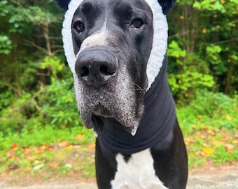 Può includere: Un cane bianco e nero con un costume da panda. Il costume comprende un cappuccio nero con finiture bianche e orecchie nere e soffici. Il cane è in piedi su una superficie pavimentata con fogliame verde sullo sfondo.
