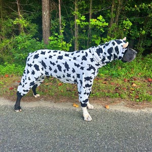 May include: A full-body dog pajama suit featuring a white base with an all-over black cow print pattern. The garment includes long sleeves for all four legs and an integrated hood that covers the neck and head, finished with black ribbed cuffs.