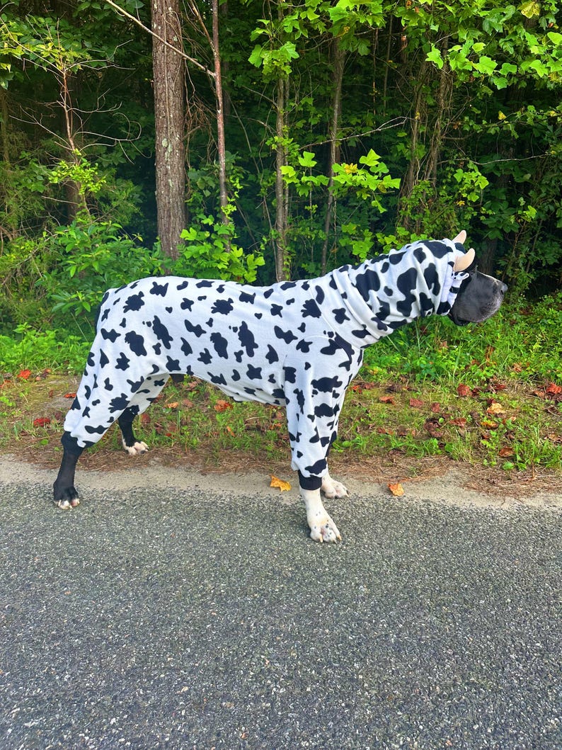May include: A full-body dog pajama suit featuring a white base with an all-over black cow print pattern. The garment includes long sleeves for all four legs and an integrated hood that covers the neck and head, finished with black ribbed cuffs.