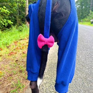 May include: A royal blue fleece dog jumpsuit featuring long sleeves with ribbed cuffs, a black button closure at the top, and a bright pink fabric bow attached to the tail opening. The garment is designed to fit around the tail and hind legs.