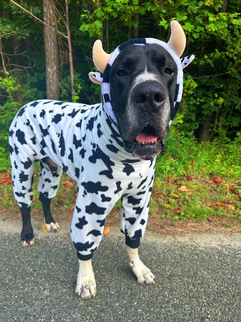May include: A black and white cow-patterned dog onesie featuring a hood with attached plush tan horns and small ears. The garment covers the torso and legs of the dog, with black ribbed cuffs at the ankles and a soft, fleece-like texture throughout.