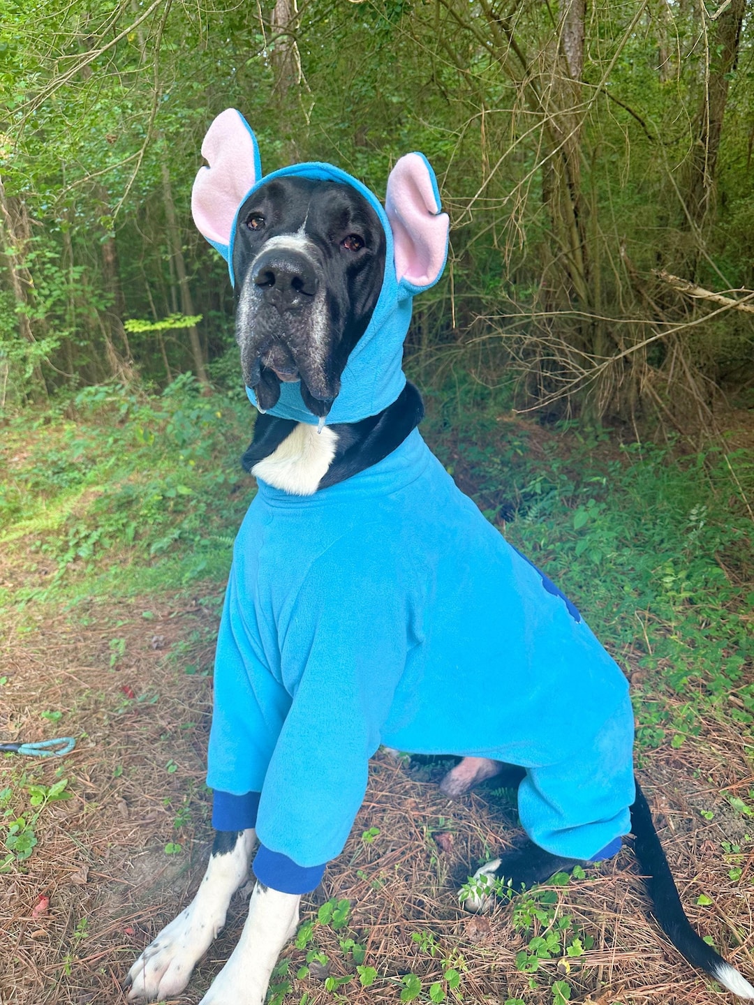 Custom Great Dane Halloween Costume for Dogs, Extra Large Stitch