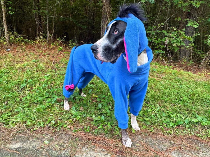 May include: A blue fleece dog jumpsuit featuring a hood with long, floppy ears lined in pink, a black tuft of hair on top, and a small pink bow attached to the rear. The garment covers the torso and legs, providing a full-body fit for the animal.