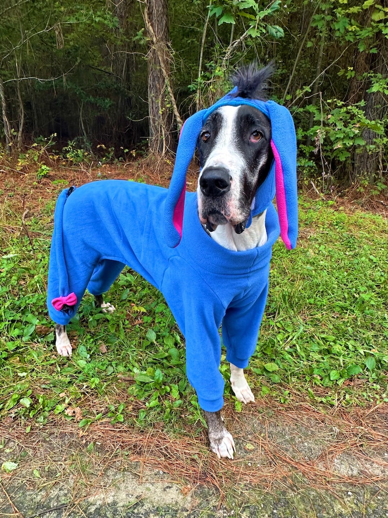 May include: A blue fleece dog costume featuring long, floppy ears with pink inner lining, a hood with a small tuft of black hair on top, and a matching tail with a pink bow at the end, worn by a black and white dog standing outdoors.