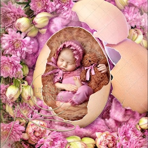 4 PACK Newborn digital background , baby backdrop  , Easter Bacdrop Photography Digital photography Backdrop, Insert & Overlay