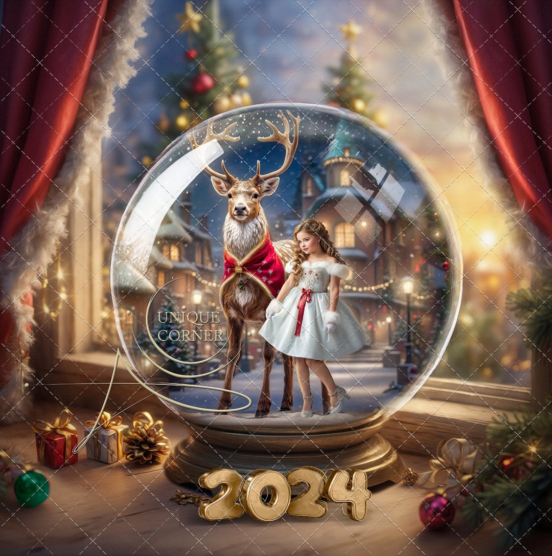 3 PACK 2024 Christmas New Year Snowglobe With Realistic Overlays .photography Digital Background