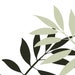Sage Botanical Art Print, Minimalist Plant Art, Leaf Wall Decor, Plant ...
