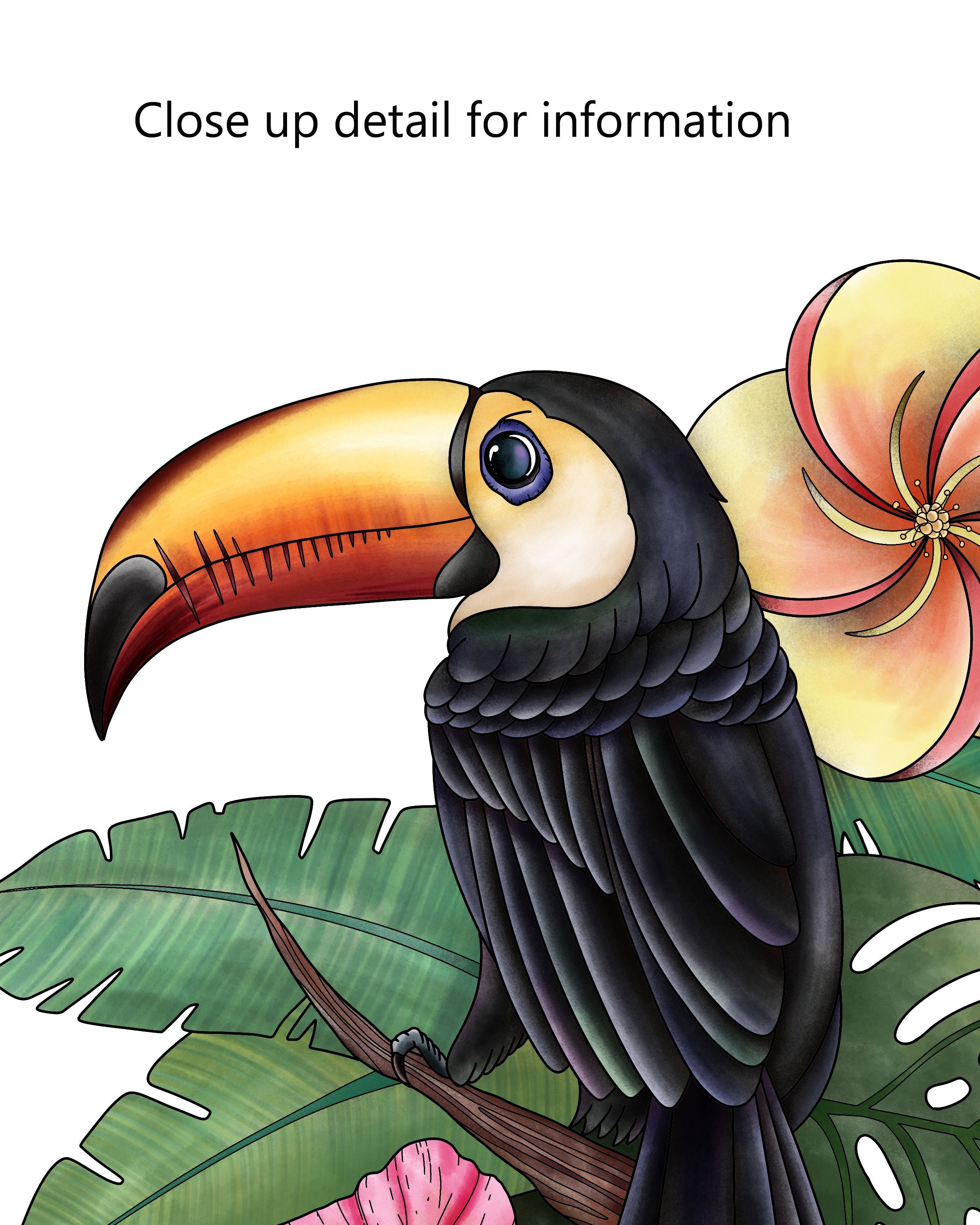 Toucan Art Print Tropical Bird Printable Jungle Theme Etsy Toucan Art Print Tropical Bird Printable Jungle Theme Etsy