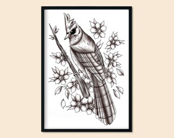 Buy Blue Jay Art Print Black and White Bird Art Printable Blue Online in  India 