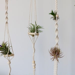 Macrame air plant hanger beige color minimalist modern simple airplant hanger rillandsia display long plant holder bohemian indoor outdoor