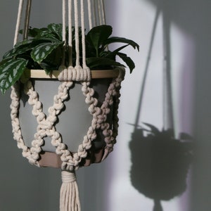 May include: A gray planter with a green plant hanging from a macrame plant hanger. The hanger is made of natural white cotton rope and has a tassel at the bottom.