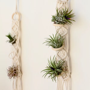 Macrame airplant hanger simple minimalist bohemian modern gifts farmhouse indoor plant display tillandsia hanger crochet cotton plant hanger