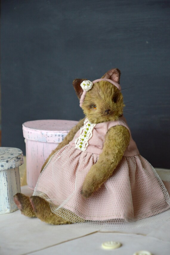 kitten teddy