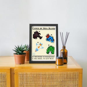 colorful, sea slug, nudibranch, sea angel, sea creature, fine art print