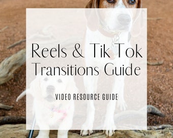Rollen & Tik Tok Übergänge // Video Guide