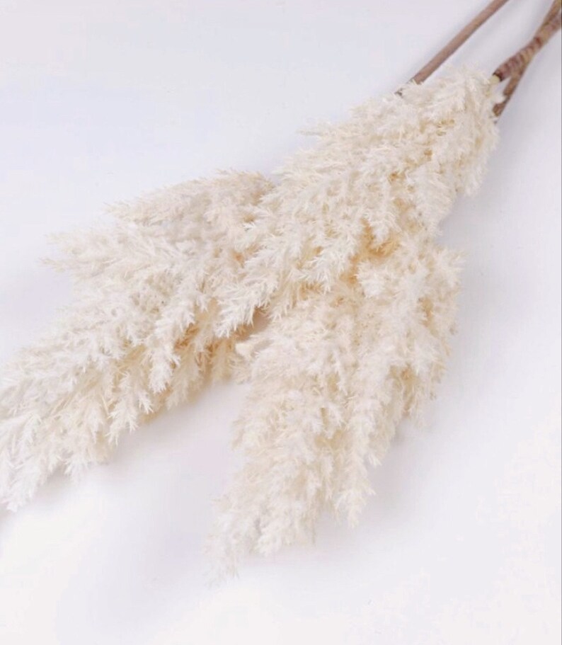 Artificial Pampas Grass Spray Etsy