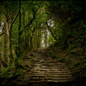 1 question same day PSYCHIC ORACLE reading. SAME day reading!
