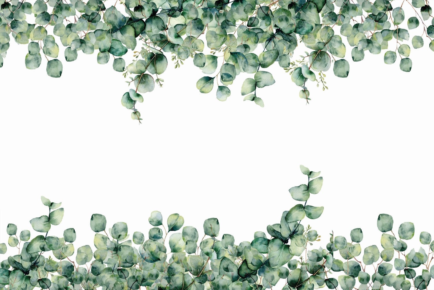 Watercolor Eucalyptus Leaves Flowers Wallpaper Tropical Etsy Canada