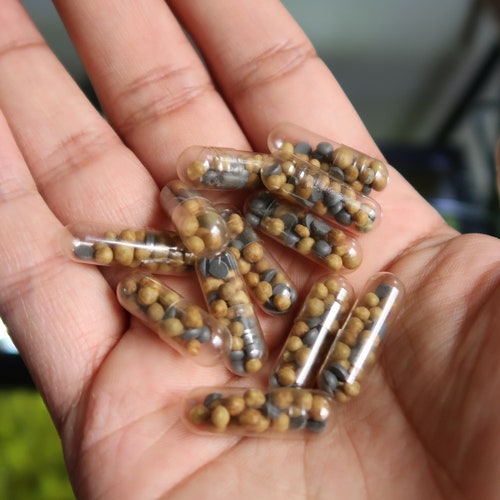 Aquarium Root Tabs Fertilizer With High Iron shrimp Safe Etsy