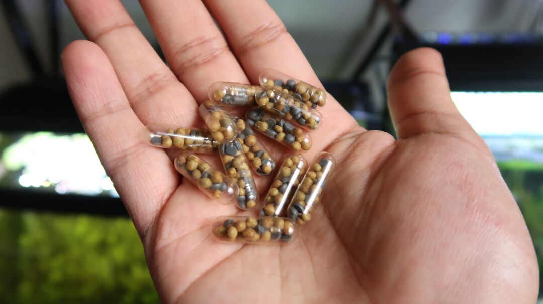 Aquarium Root Tabs Fertilizer With High Iron shrimp Safe Etsy
