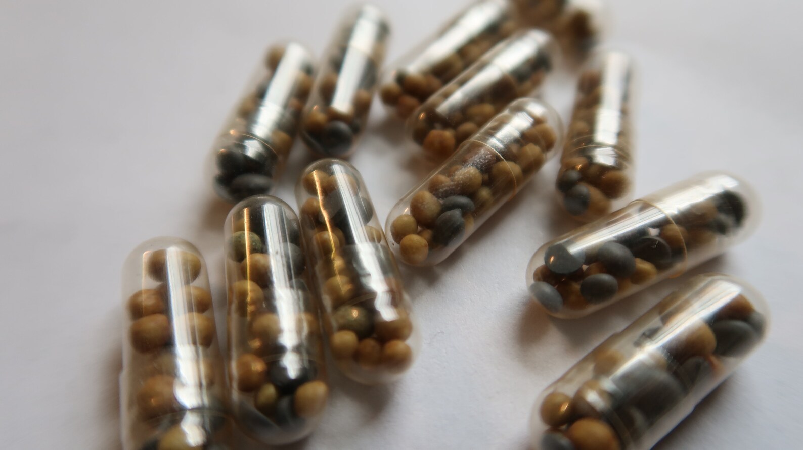 Aquarium Root Tabs Fertilizer With High Iron shrimp Safe Etsy