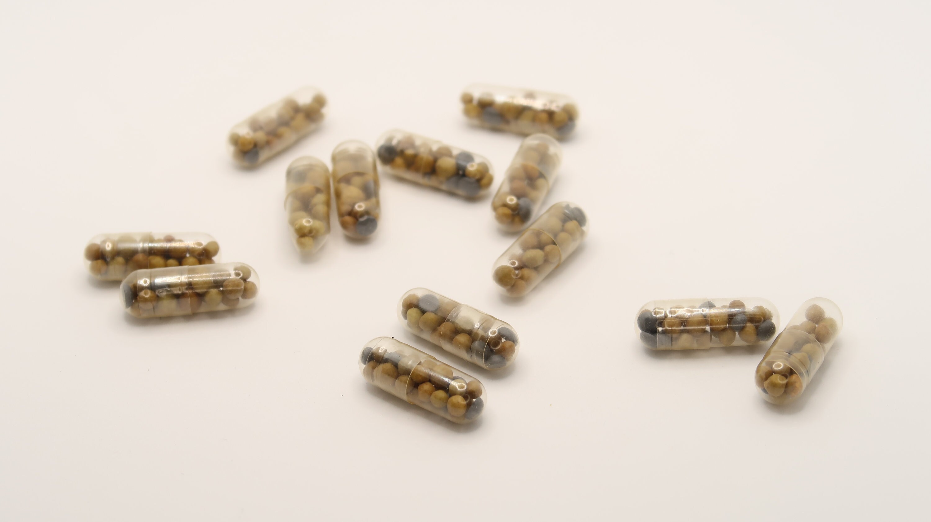 Aquarium Root Tabs Fertilizer With High Iron shrimp Safe Etsy