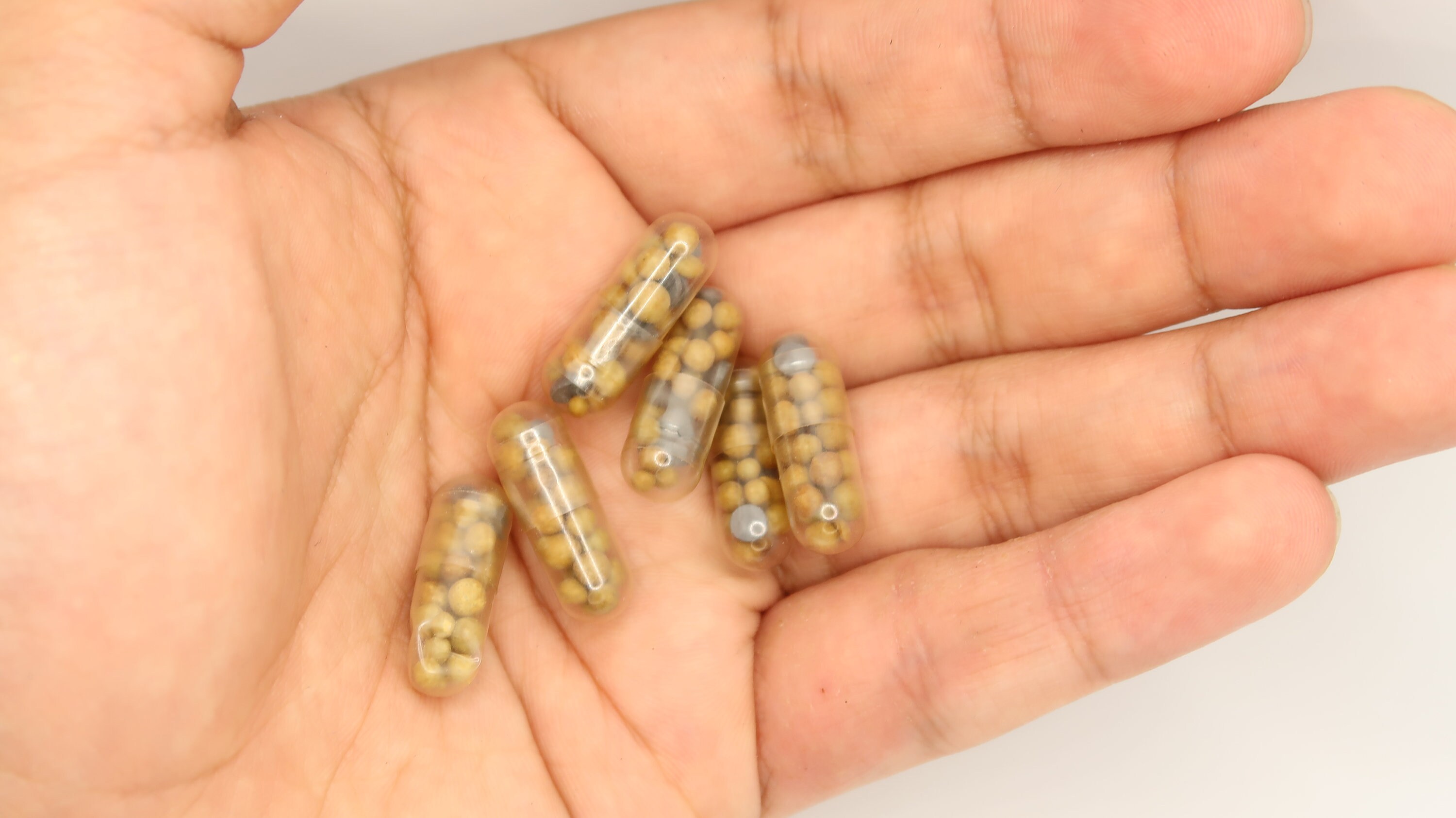 Aquarium Root Tabs Fertilizer With High Iron shrimp Safe Etsy