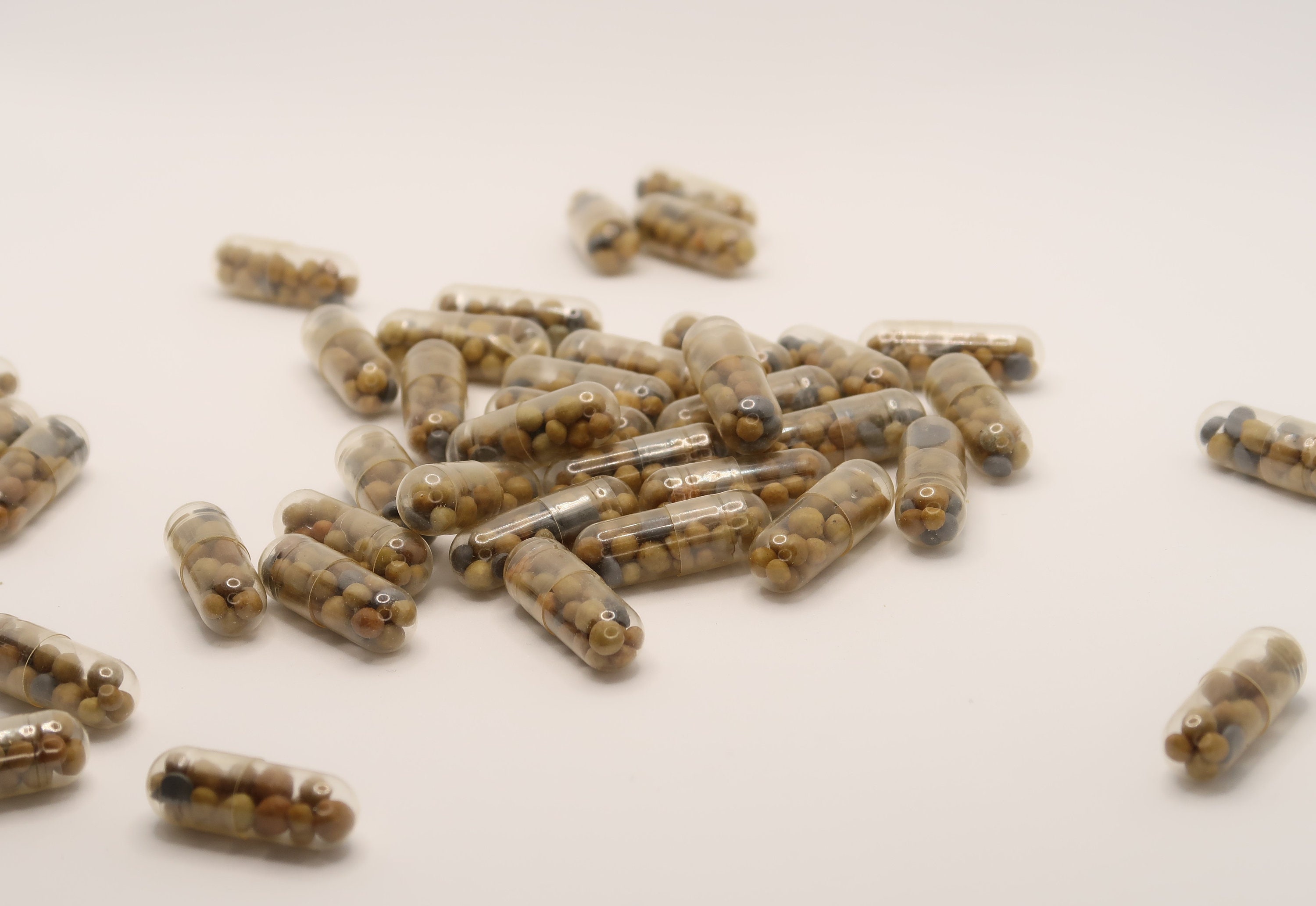 Aquarium Root Tabs Fertilizer With High Iron shrimp Safe Etsy