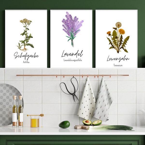 Three medicinal herbs to print out