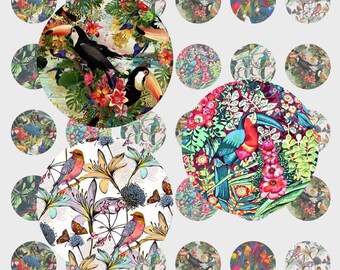 Digital images plank for "Tropical Birds" cabochons