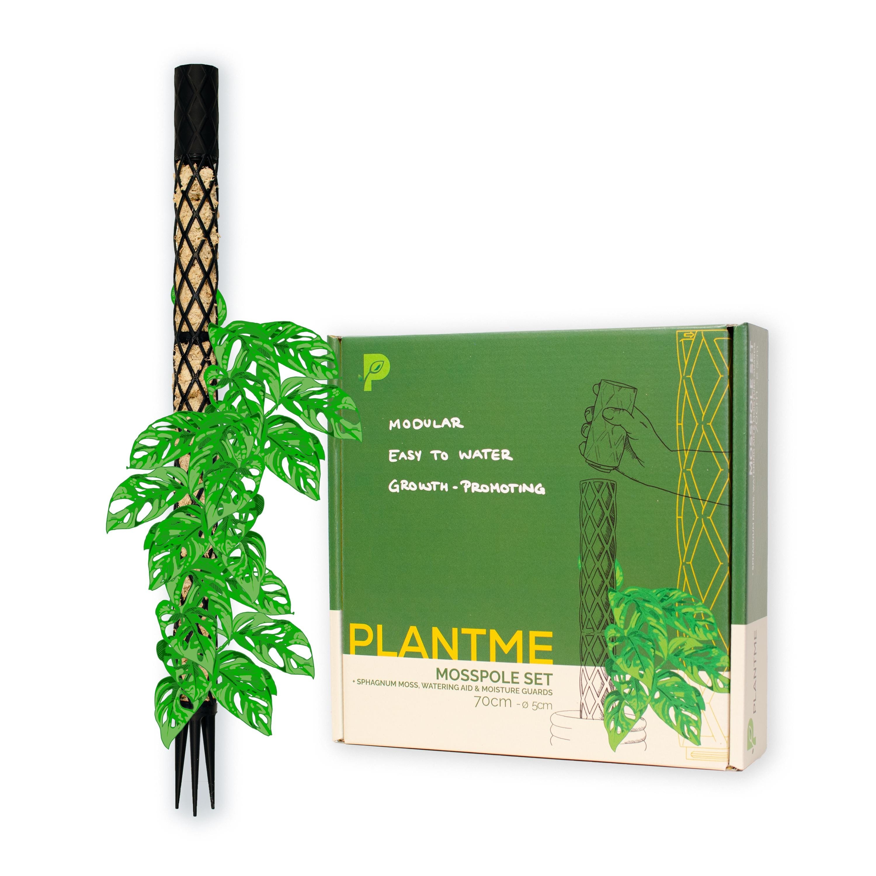 Plantme Moss Stick Midi Complete Set 70 Cm, Black, White, Grey