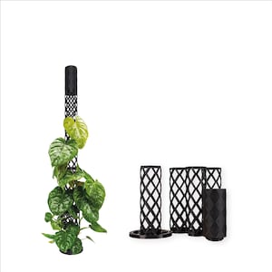 PlantMe Modular Moss Stick Maxi (6.5 cm diameter), Black, White, Moss Grey