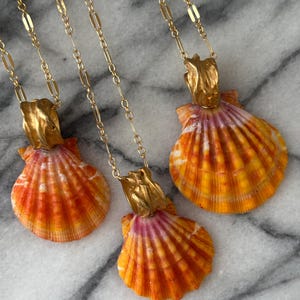 May include: Three necklaces featuring natural scallop shells with vibrant orange, yellow, and pink gradients. Each shell is attached to a gold-toned metal bail and a gold-toned paperclip chain, showcasing a textured, ribbed surface on the shell exterior.
