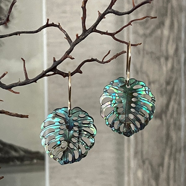 Rainbow Abalone Shell Monstera Gold filled or Silver earrings